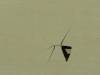 232